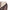 Hashbury Springfield Smell Resistant Handbag
