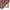 Hashbury High Style Drip Stash Shiesty | Balaclava
